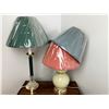Image 1 : Lamps Lot