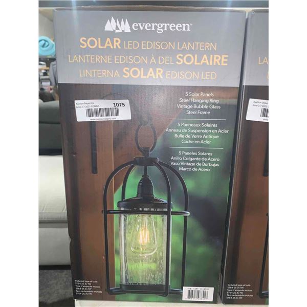 Evergreen Solar LED Edison Lantern