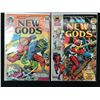 Image 1 : LOT OF THE NEW GODS COMICS (DC COMICS)