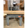 Image 1 : ROCKWELL/DELTA INDUSTRIAL RADIAL ARM SAW