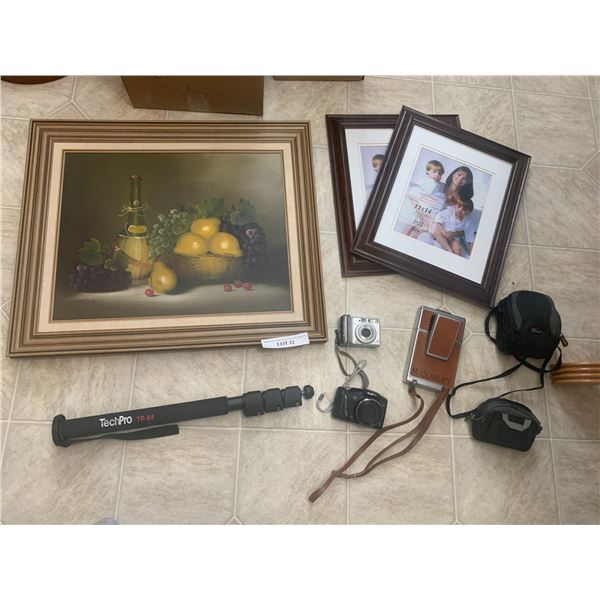 Fruit Picture by E. Harnett, Two 11 x 16 Picture Frames, Canon PowerShot SX150  IS, Canon PowerShot 