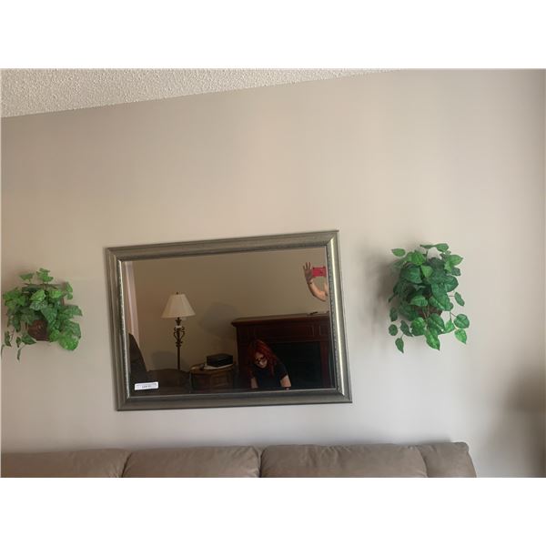 Lg Framed Wall Mirror & Two Silk Plants in Baskets Wall Décor
