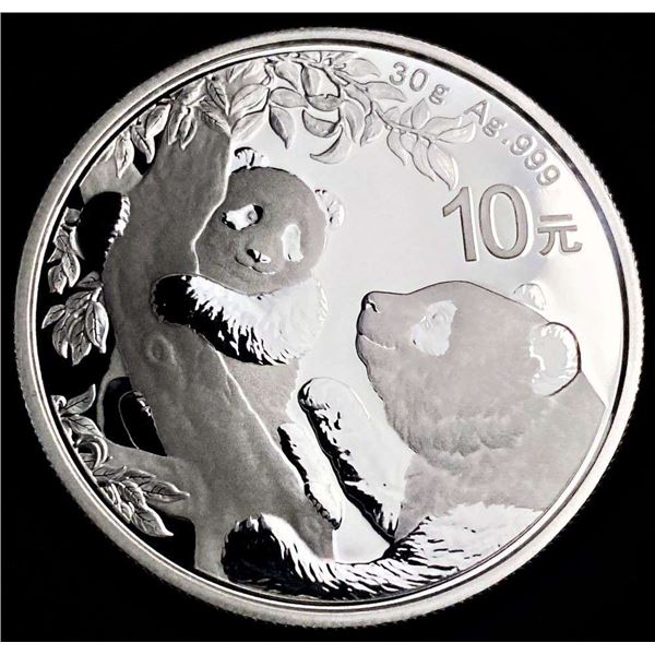 2021 Chinese Panda 30g .999 Silver