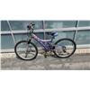 Image 1 : NEXT TIARA YOUTH BIKE