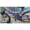 Image 2 : NEXT TIARA YOUTH BIKE
