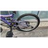 Image 3 : NEXT TIARA YOUTH BIKE