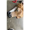 Image 8 : 2 VEHICLE ANTITHEFT CLUBS WITH HORSE MASK AND COMPANIONSET