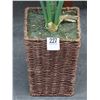 Image 1 : Silk Fern In Planter