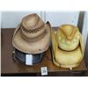 Image 1 : 5-Peter Grimm Straw Hat - 5 X $