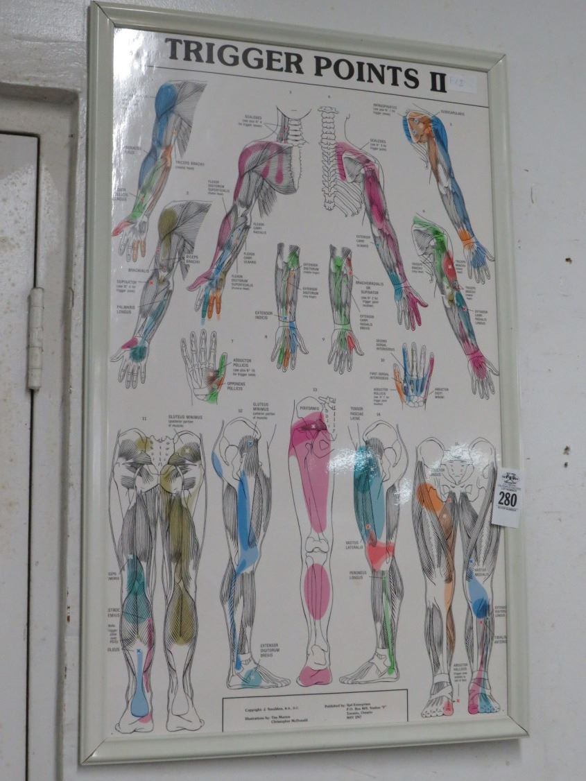 Triggernometry Poster