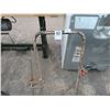 Image 2 : Briggs & Stratton Gas Edger