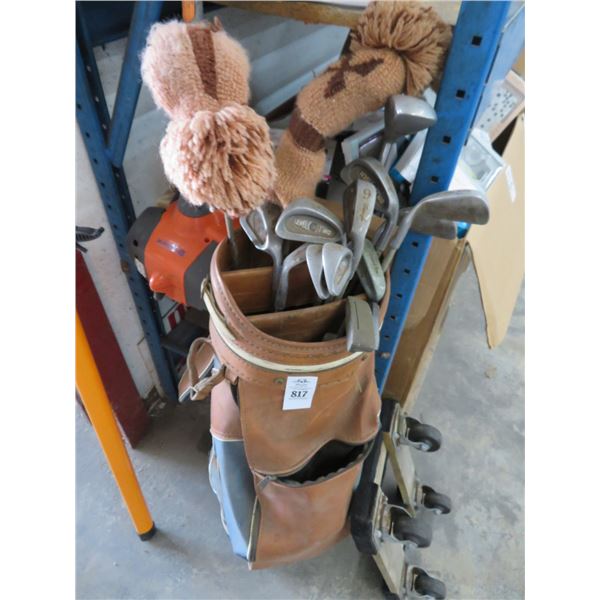 Golf Clubs w/Bag