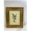 Image 1 : Print Of Beautiful Tree