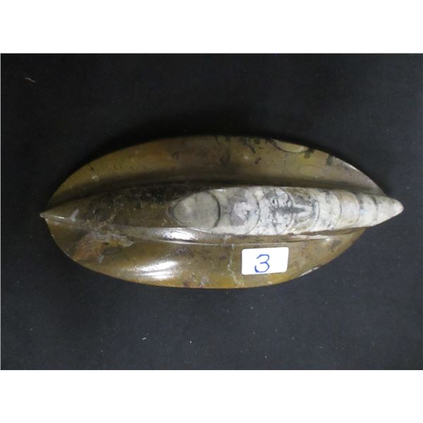 COLLECTIBLE:  FOSSIL