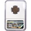 Image 2 : 1887 Indian Head Cent NGC UNC Details, Spot Remova