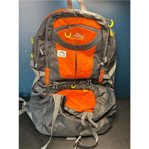 Lot of 1 Hiking/Trail Bag