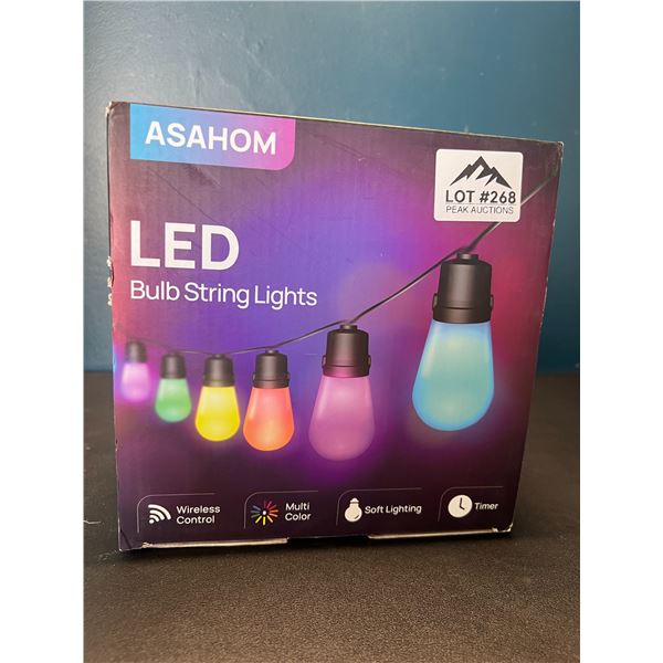 Lot of 1 Multi-Color LED Bulb String Lights for Outdoors - Wireless Control - 46FT Length