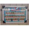 Image 1 : Hockey Canada 1972 Display of All The Players Specs 26" x 38" 