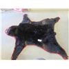 Image 1 : Tanned Bear Hide 69" Nose to Tail