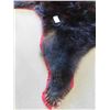 Image 5 : Tanned Bear Hide 69" Nose to Tail