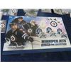 Image 2 : 2013/14 WPG Jets Complete Pin Set