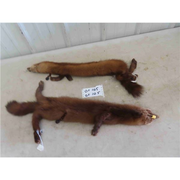 2 Tanned Mink Pelts