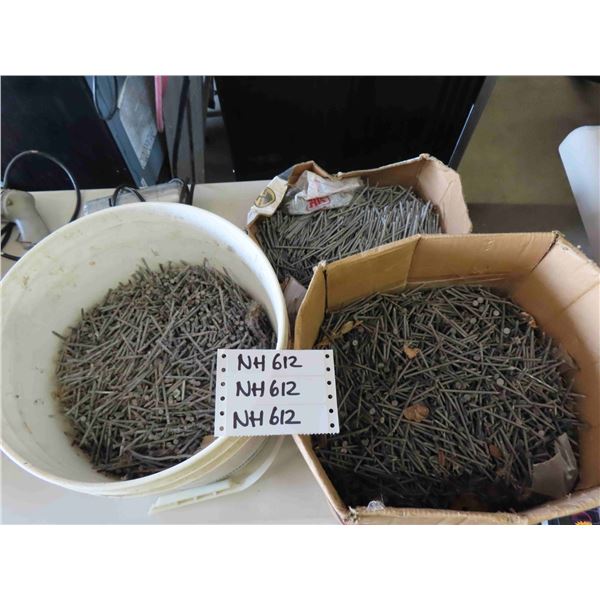 3 Lots of Nails: 2.5" Commun, 3.5" Galvanized