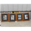 Image 1 : 4 Framed Wildlife Prints by Sue Coleman 14" x 17" 