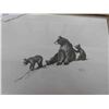 Image 2 : Wildlife Sketches by Clarence Tillenius