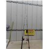 Image 1 : 2 Fishing Rods + Reels