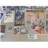 Image 5 : Teamu Selanne Collection ; Hockey Cards, Magazines, Hockey News, Pictures, Figurine
