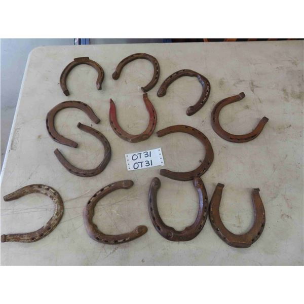 12 Horse Shoes - Some Lucky, Some Not So Lucky