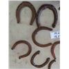 Image 4 : 12 Horse Shoes - Some Lucky, Some Not So Lucky