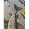 Image 4 : Large Mounted Fish 38" Long - Northern Pike