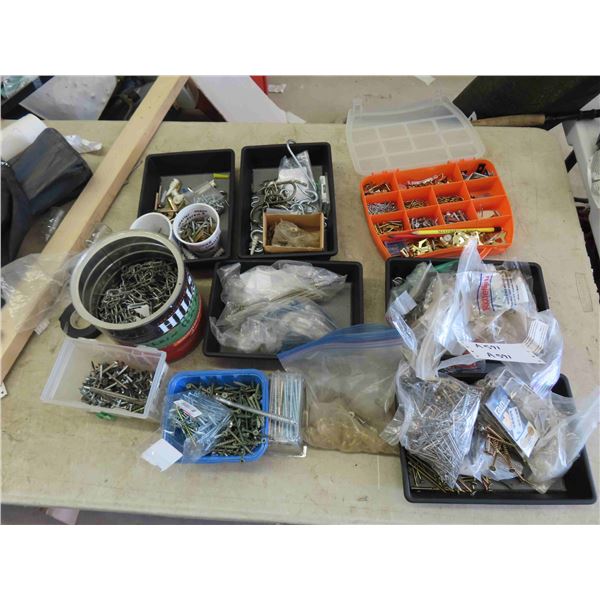 Very Large Assortment of Screws, Hooks, Small Chain, and Other Hardware