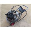 Image 7 : Briggs & Stratton Elite Series 2900 PSI 206 CC Engine Power Washer