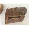 Image 6 : Vintage Baseball Gloves 