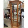 Image 1 : Modern Buhler Wood + Glass with Mirror Curios Cabinet + 4 Glass Shelves - Lighted 