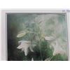 Image 3 : Lily Frame Print 30" x 39"