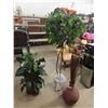 Image 1 : 2 Waterless Plants - Plastic with Sticks in Wicker Like Jug - Tallest Tree 67" 