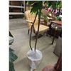 Image 3 : 2 Waterless Plants - Plastic with Sticks in Wicker Like Jug - Tallest Tree 67" 