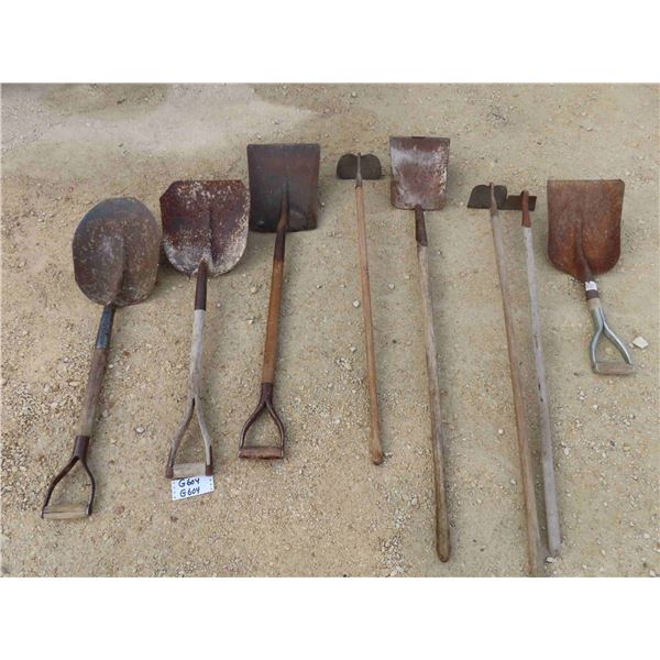 Assorted Shovels + Hoes