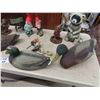 Image 5 : Yard Gnomes , Racoon , Plastic and Rubber Duck Decoys