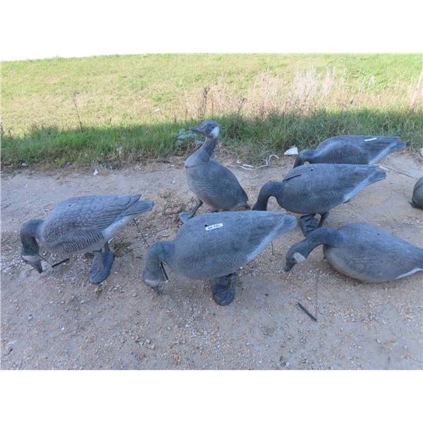 6 Bigger than Life Goose Decoys - Rubbery Plastic 