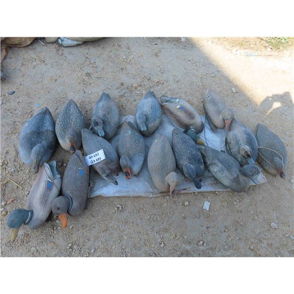 15 Plastic Duck Decoys Aprox 17'' Long 