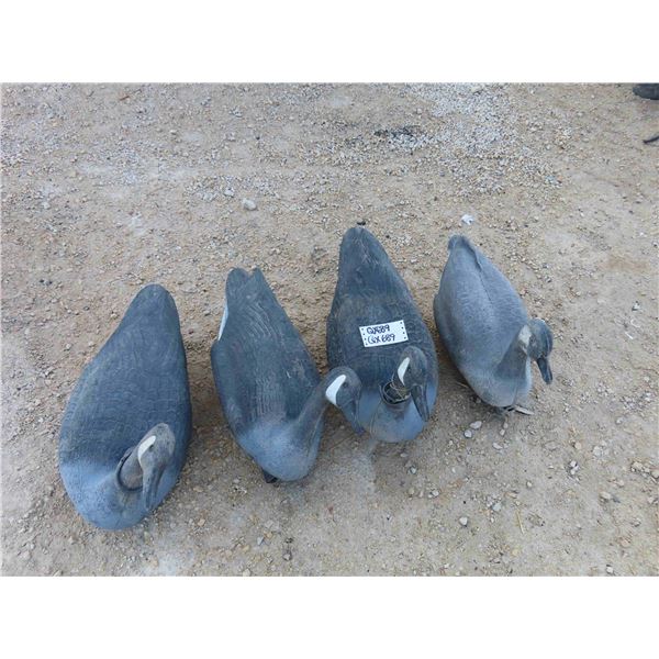 (4) 1 Piece Goose Floaters 22'' Long - Flambeau