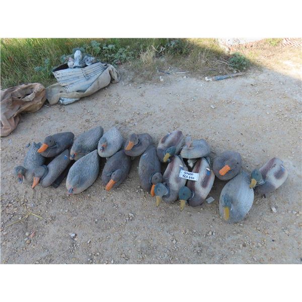 16 Plastic Floating Duck Decoys 17'' Long 