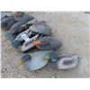 Image 5 : 16 Plastic Floating Duck Decoys 17'' Long 