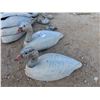 Image 2 : 6 Floating 2 Piece Goose Decoys 23'' Long