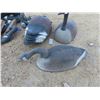 Image 2 : 12 Floating Goose Decoys 30''  Long 2 Styles 